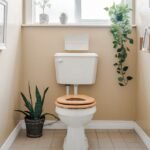 Comment enlever le calcaire incrusté dans les WC ?