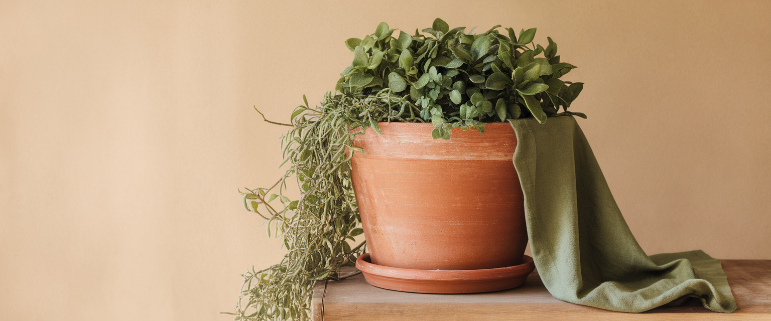 La couleur terracotta : tout ce que vous devez savoir
